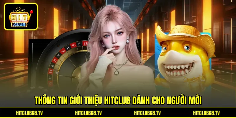 Thông tin giới thiệu Hitclub dành cho người mới Thông tin giới thiệu Hitclub dành cho người mới